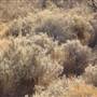 Broken Hill Area