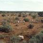 Broken Hill Area (Inc. Silverton)