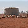 Broken Hill Area (Inc. Silverton)