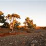 BROKEN HILL, OUTCROPS & SURROUNDS 2012