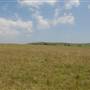 Brooks Point
