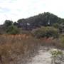 Broughton Island
