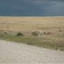 Bungendore Sand Mine