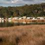 Burrill Lake