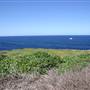Cape Banks