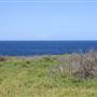 Cape Banks