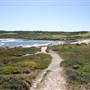 Cape Banks