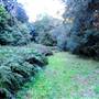 Canyon Park