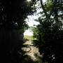 Clareville Beach