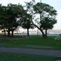 Clifton Gardens Reserve