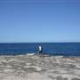 Clovelly Bay