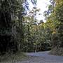 Coffs Harbour