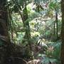 Coffs Harbour