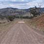 Coolah surrounds