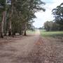 Coolah Tops National Park
