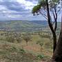 Coolah Tops National Park