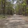 Coolah Tops National Park