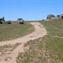 Cooma Roads