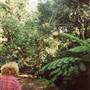 Cooper Park