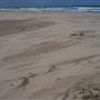 Crescent Head