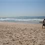 Cronulla Beach