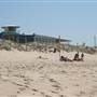 Cronulla Beach