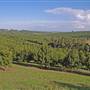 Crops near Ballina