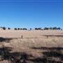 Crops/Farms - Central West