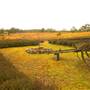 Crops/Farms - Central West
