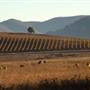 Crops/Farms - Central West