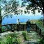 Dorrigo National Park