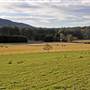Eurobodalla Area