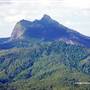 Northern Rivers Region