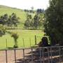 Calmsley Hill City Farm