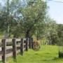Calmsley Hill City Farm