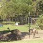 Calmsley Hill City Farm