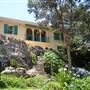 Private House - Neutral Bay