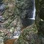 Falls Forest Retreat
