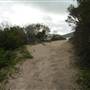 Point Stephens/Fingal Island / Fingal Point /Tomaree National Park