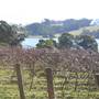 Morton National Park
