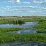 Fivebough Swamp