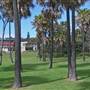 Forster and surrounds