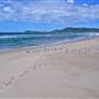 Forster and surrounds