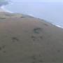 Gerringong