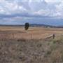 Gilgandra Rural Area