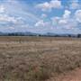 Gilgandra Rural Area