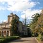 The King's School