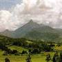 Glenreagh