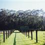 Glenvale Park