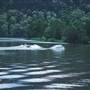 Hawkesbury River